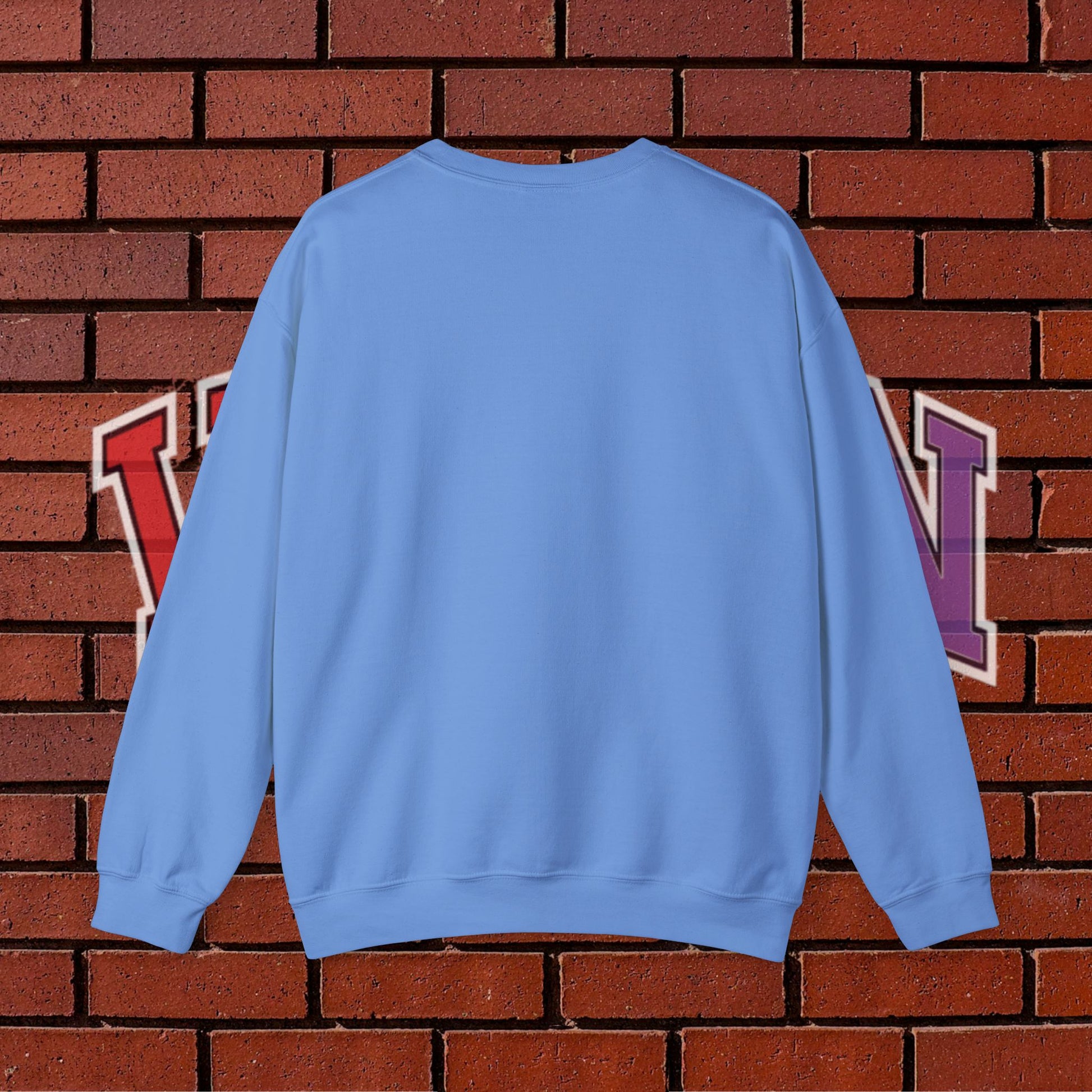 VIZION Crewneck Sweatshirt (Blue)
