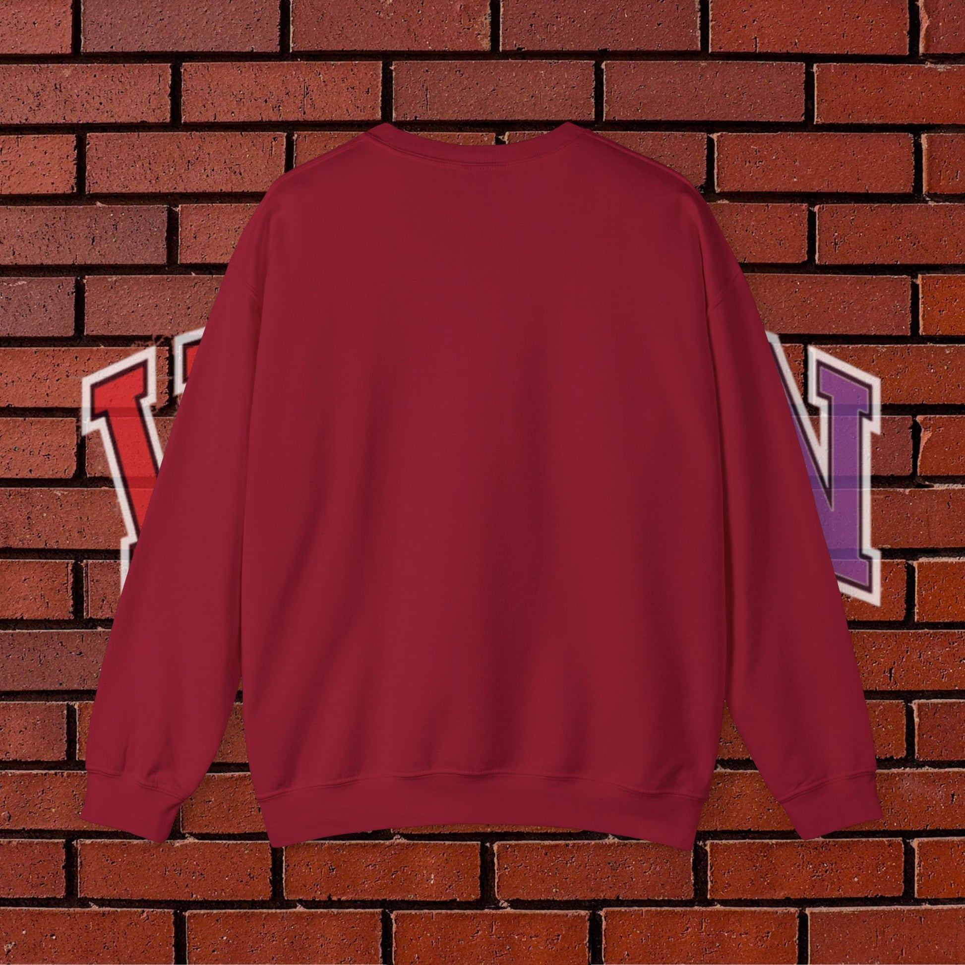 Collegiate VIZION (Red) Crewneck Sweatshirt